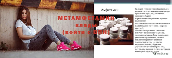 индика Богородицк