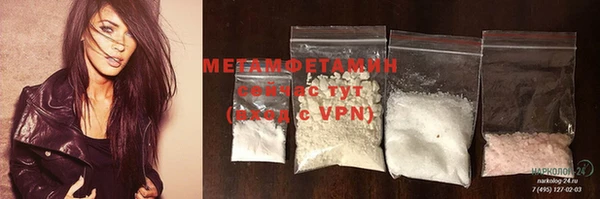ГАЛЛЮЦИНОГЕННЫЕ ГРИБЫ Богданович