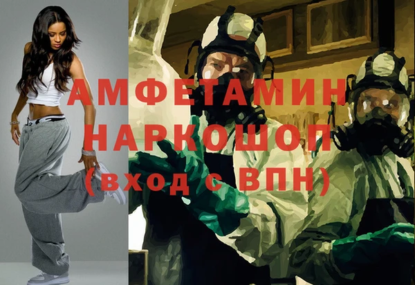 индика Богородицк