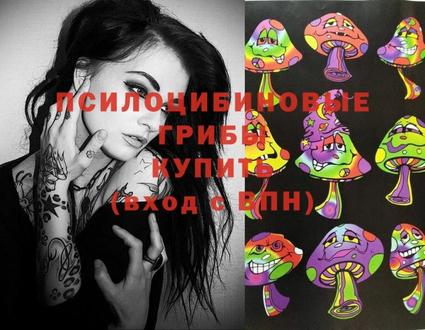 ГАЛЛЮЦИНОГЕННЫЕ ГРИБЫ Балабаново