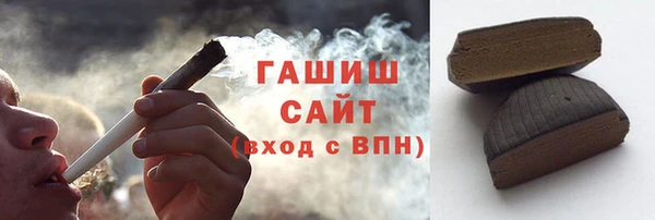 индика Богородицк