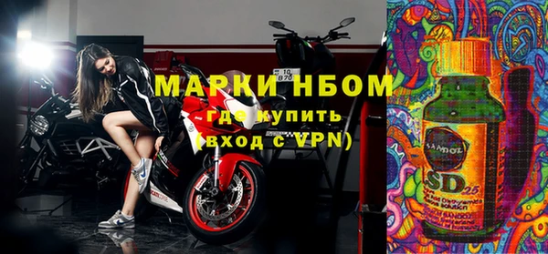 ГАЛЛЮЦИНОГЕННЫЕ ГРИБЫ Богданович