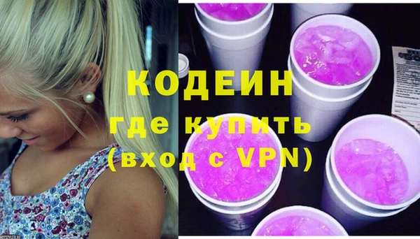 индика Богородицк