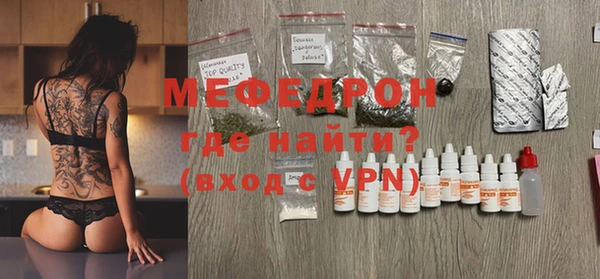 индика Богородицк