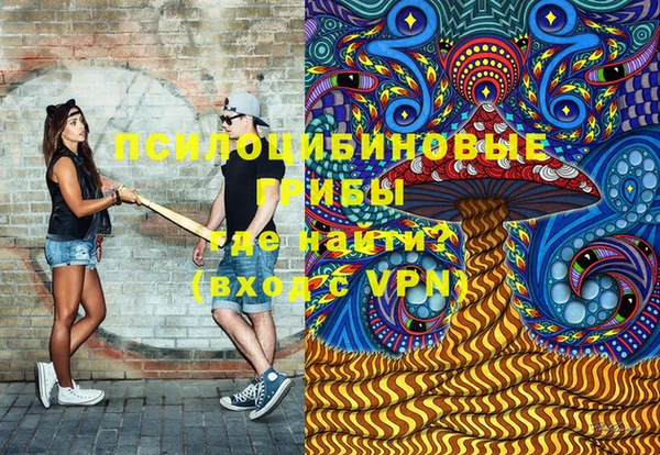 ПСИЛОЦИБИНОВЫЕ ГРИБЫ Балахна