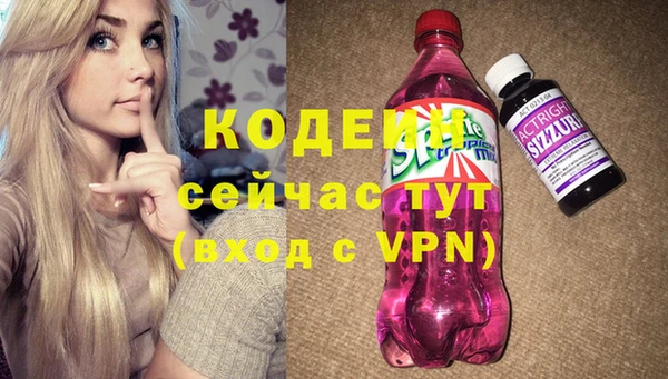 ГАЛЛЮЦИНОГЕННЫЕ ГРИБЫ Богданович