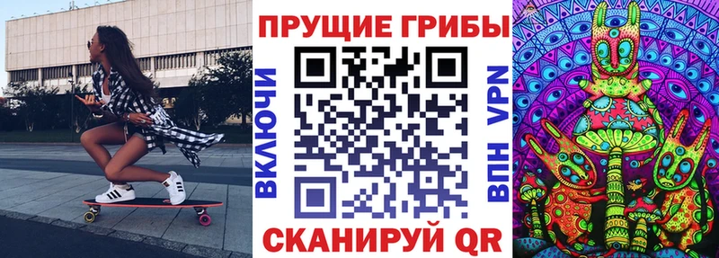 Галлюциногенные грибы GOLDEN TEACHER  продажа наркотиков  Буй 